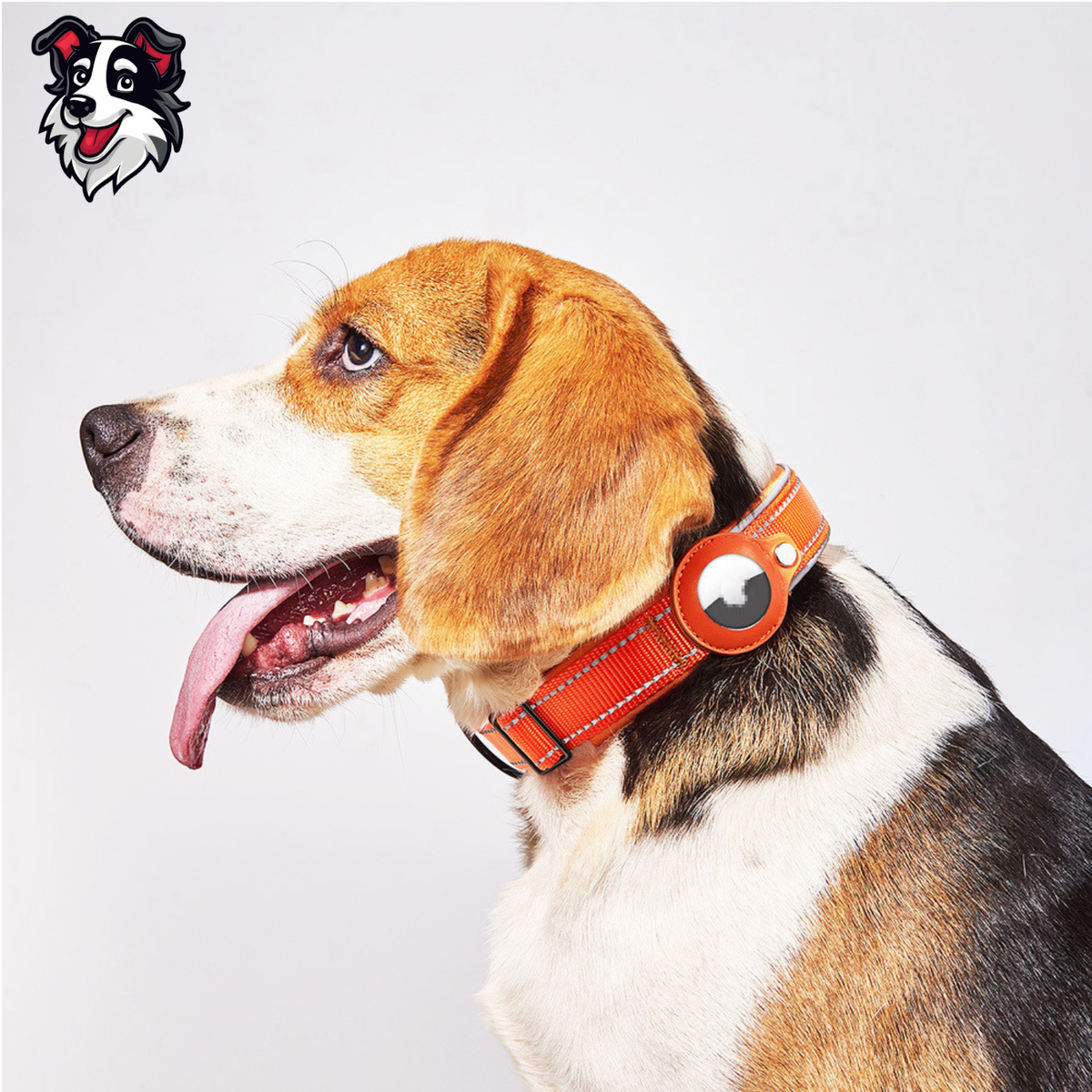 Collar de Seguridad con Soporte para AirTag | Max’s Playground