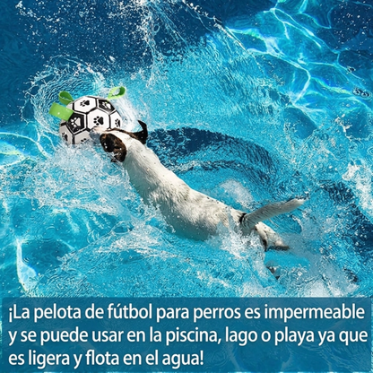 Pelota de Fútbol Interactiva para Perros | Juguete de Entrenamiento con Bomba Incluida