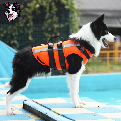 Chaleco Salvavidas Pro-Tech para Perros | Arnés de Seguridad Acuática con Asa de Rescate